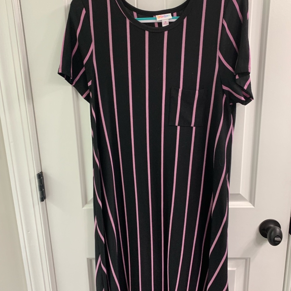 Nwot Lularoe medium Carly